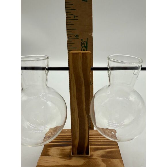 Decorative Glass Plant Jars Wooden Base for Hydroponic and Plant Propagation - Picture 4 of 6